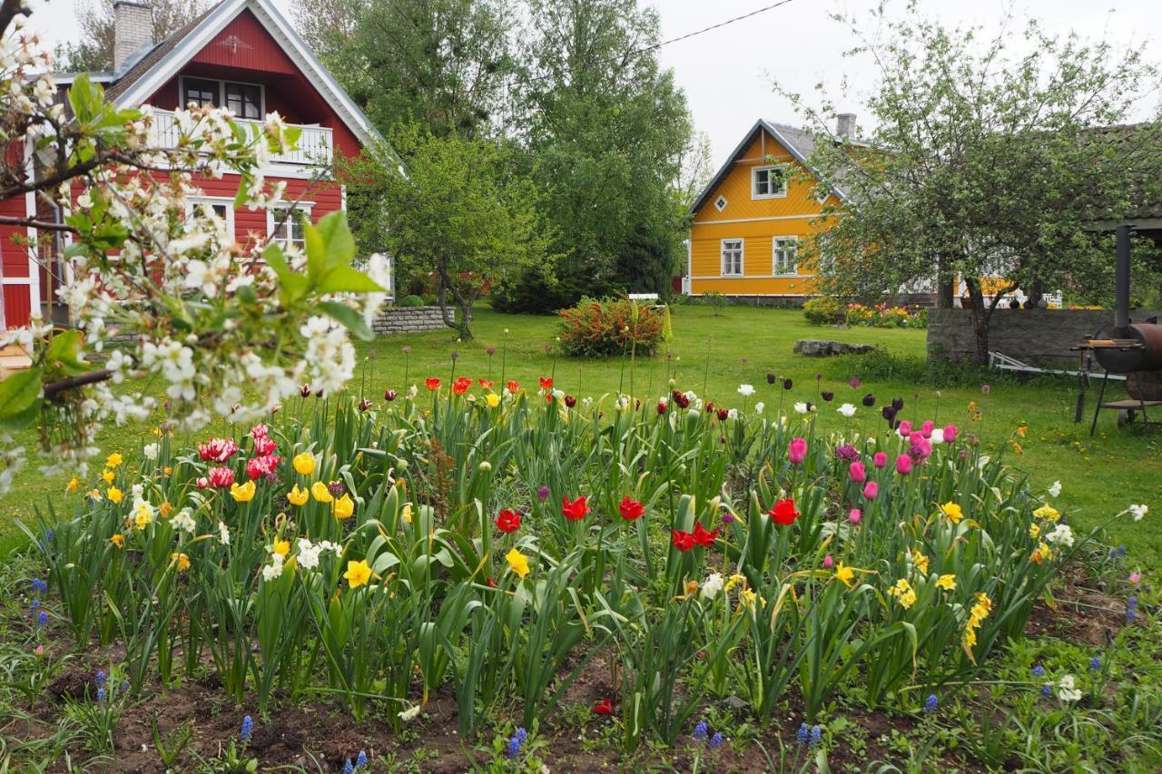Leesi Kuelalistemaja Hotel Buitenkant foto